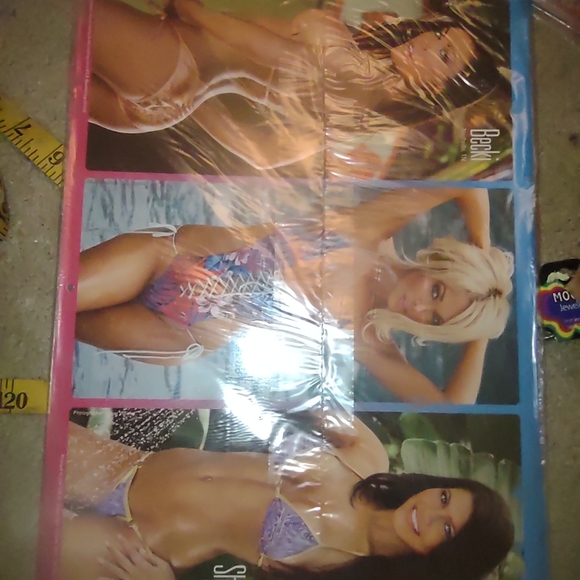 Hooter's Calendar new collectable - Picture 11 of 12